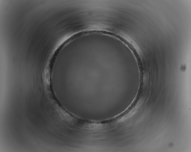 X0000103220925200808281404