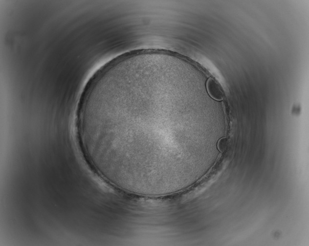 X0000103220928200808281404