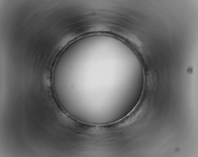 X0000103220929200808281404