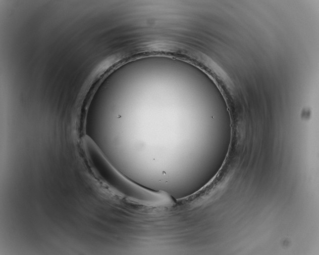 X0000103220930200808281404