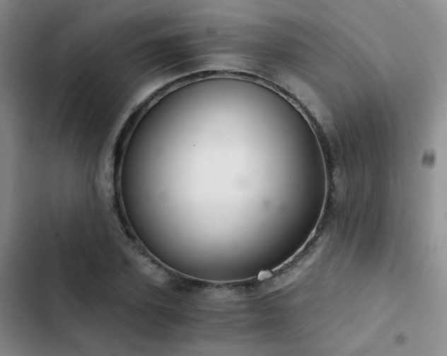 X0000103220931200808281404