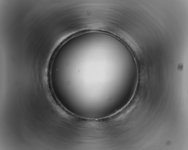 X0000103220932200808281404