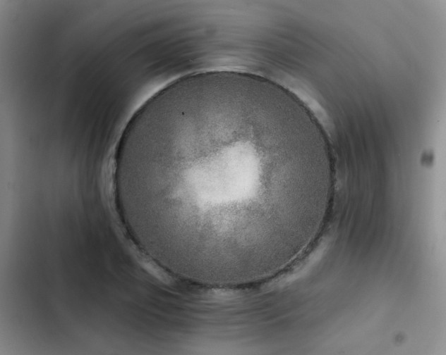 X0000103220933200808281404