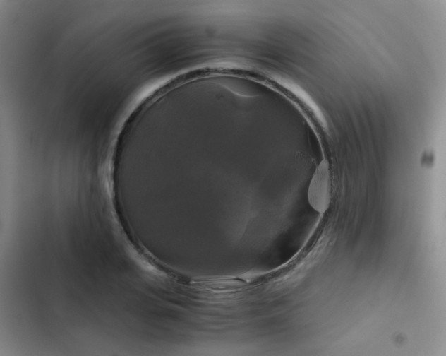 X0000103220935200808281404
