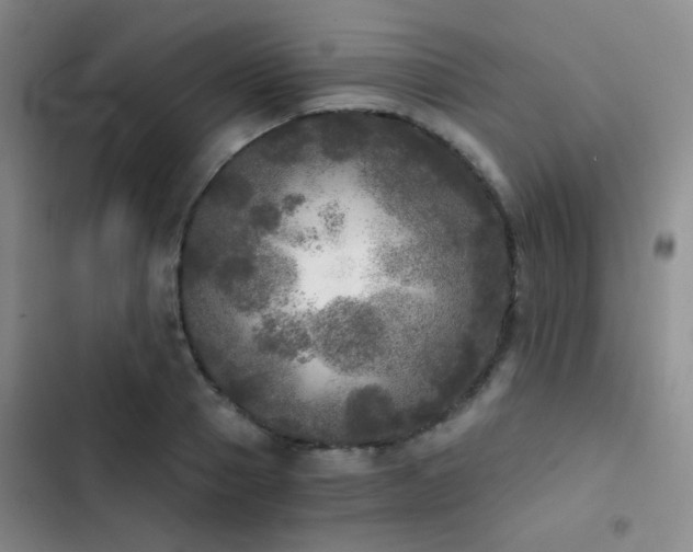 X0000103220937200808281404