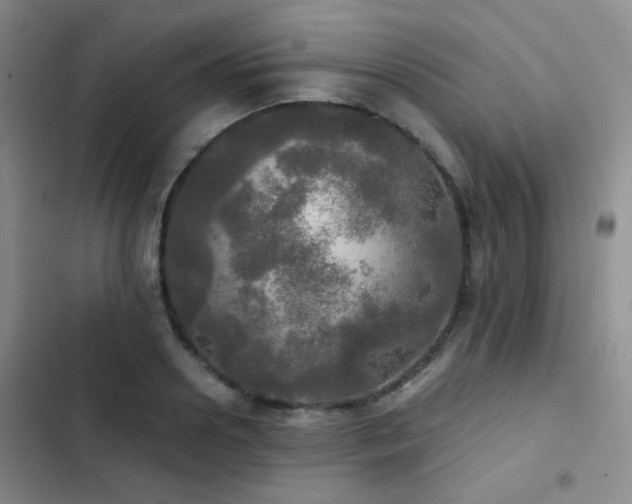 X0000103220938200808281404
