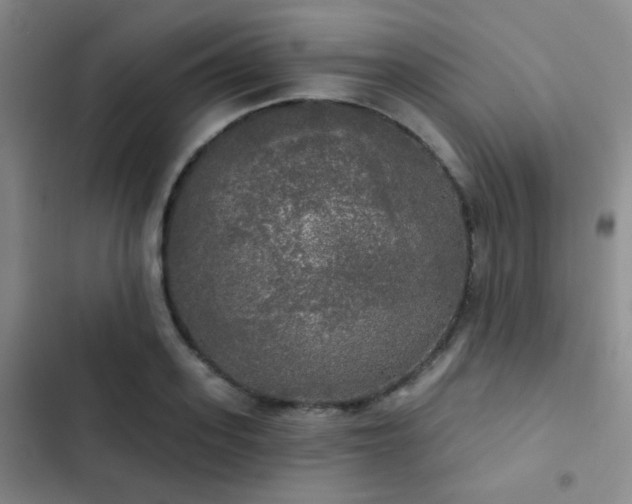 X0000103220939200808281404