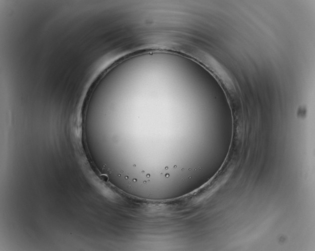 X0000103220940200808281404