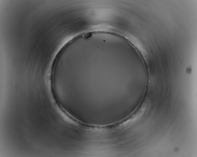 X0000103220941200808281404