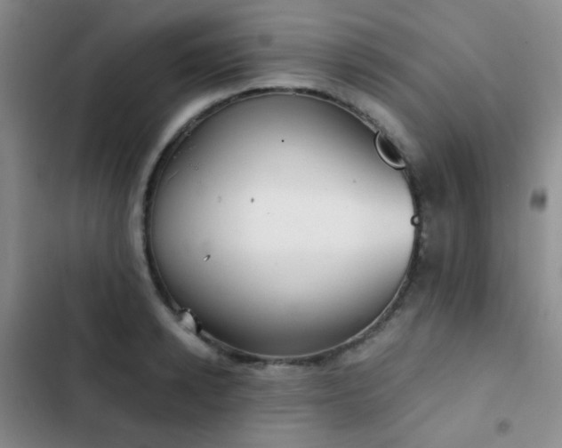 X0000103220942200808281404