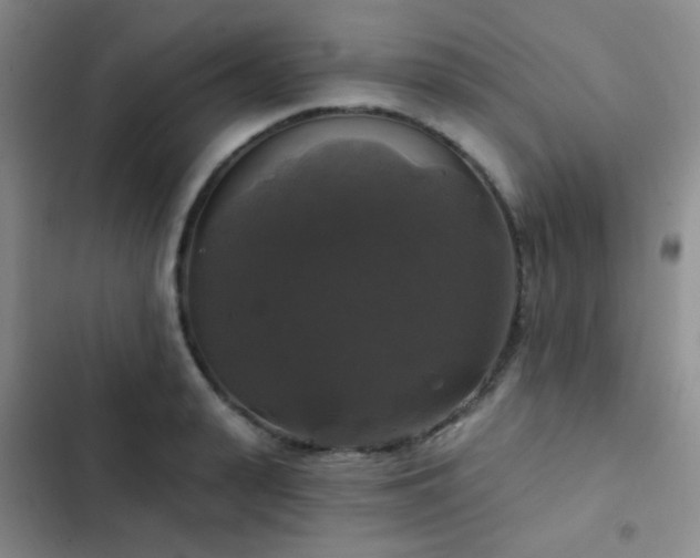X0000103220943200808281404