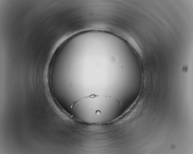 X0000103220944200808281404