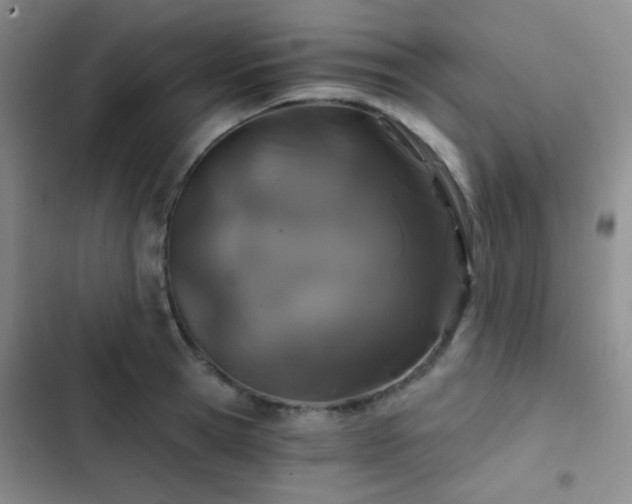 X0000103220945200808281404