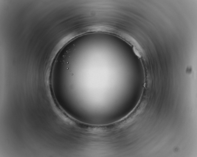 X0000103220946200808281404