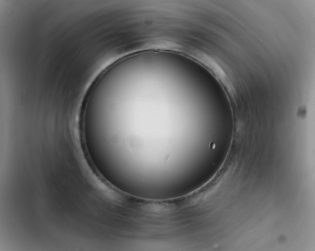 X0000103220947200808281404