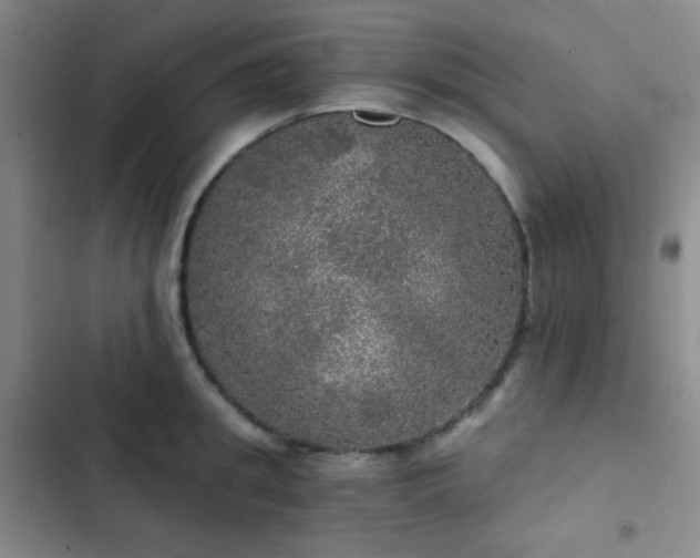 X0000103220949200808281404
