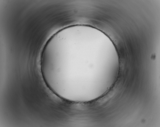 X0000103220950200808281404