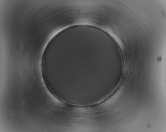X0000103220951200808281404