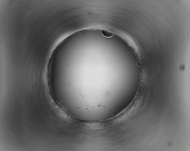 X0000103220952200808281404