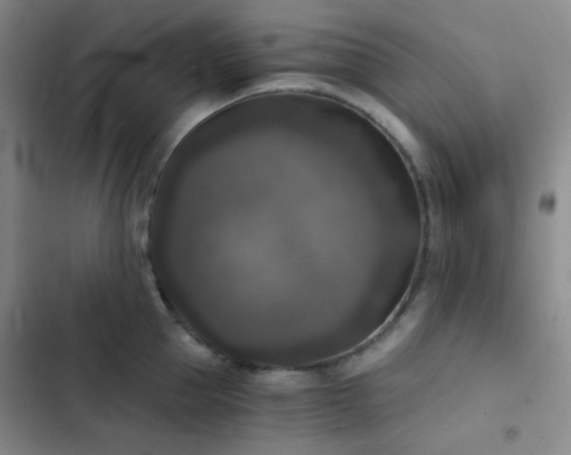 X0000103220953200808281404