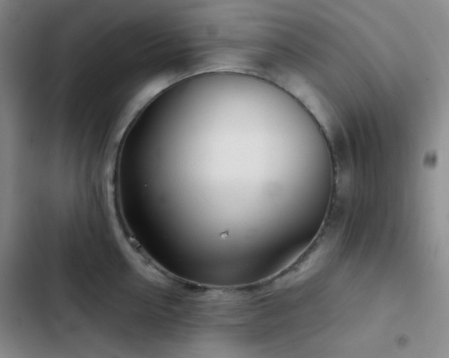 X0000103220954200808281404