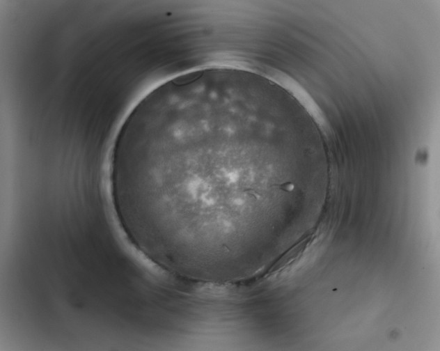 X0000103220955200808281404