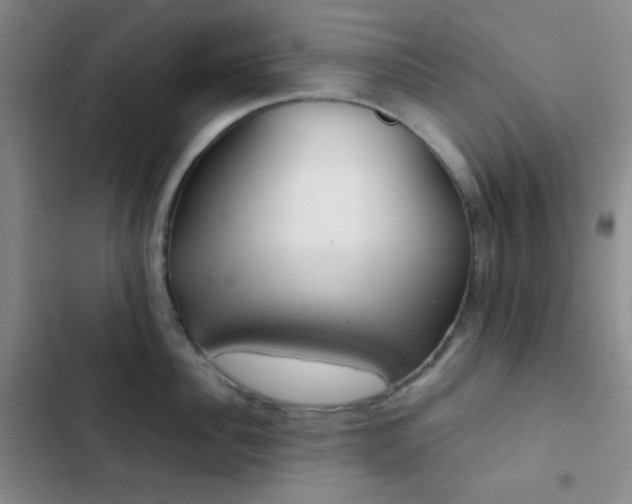 X0000103220956200808281404