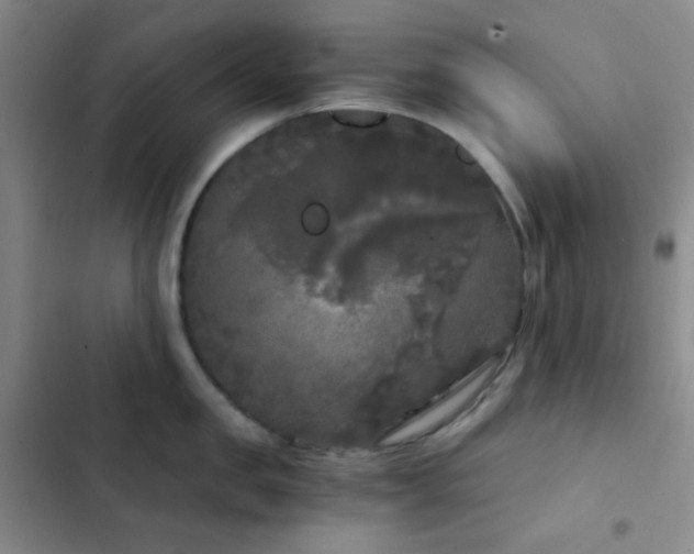 X0000103220957200808281404