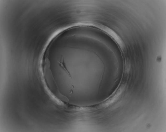 X0000103220958200808281404