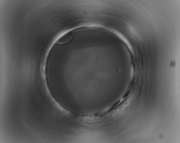 X0000103220959200808281404