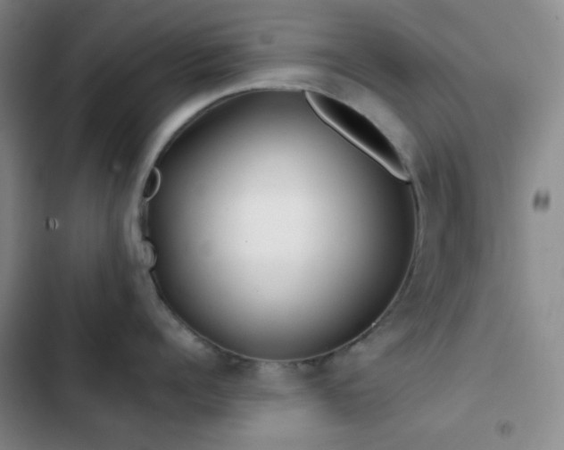 X0000103220960200808281404