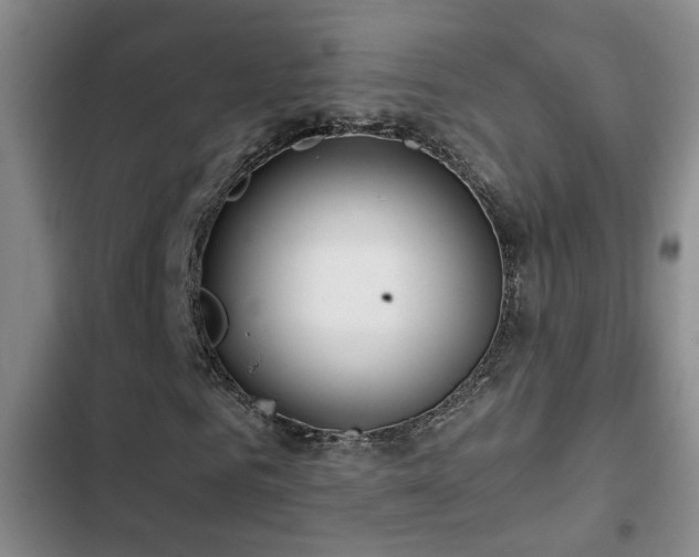 X0000103220961200808281404