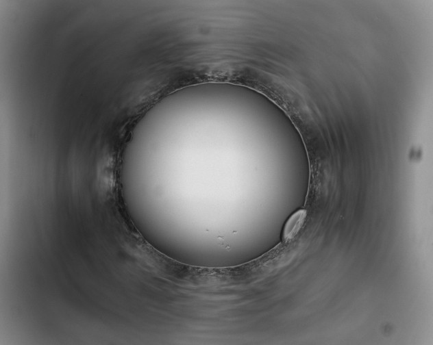 X0000103220962200808281404