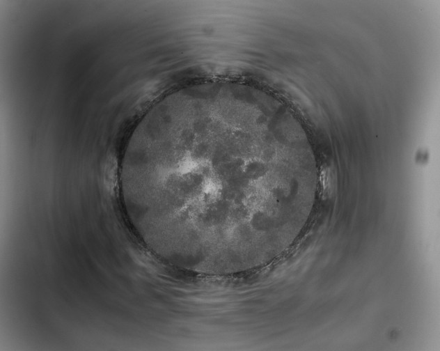 X0000103220963200808281404