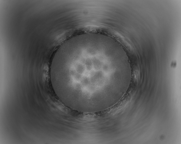 X0000103220964200808281404