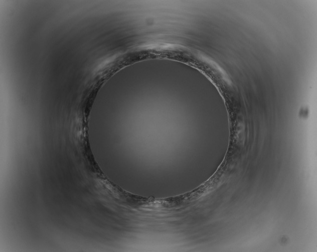 X0000103220966200808281404
