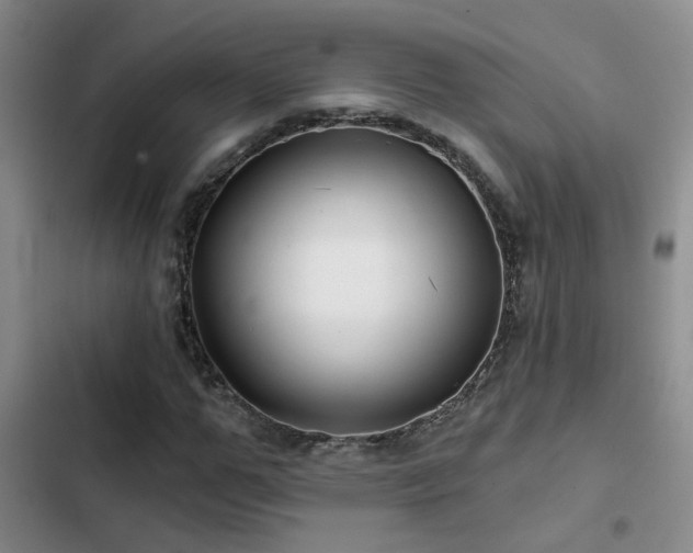 X0000103220967200808281404