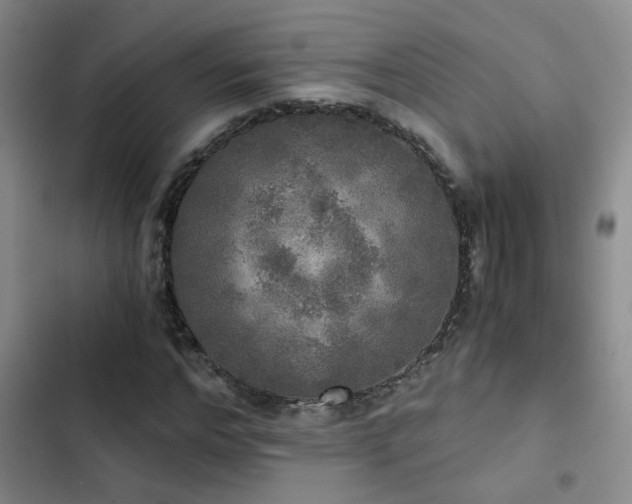 X0000103220968200808281404