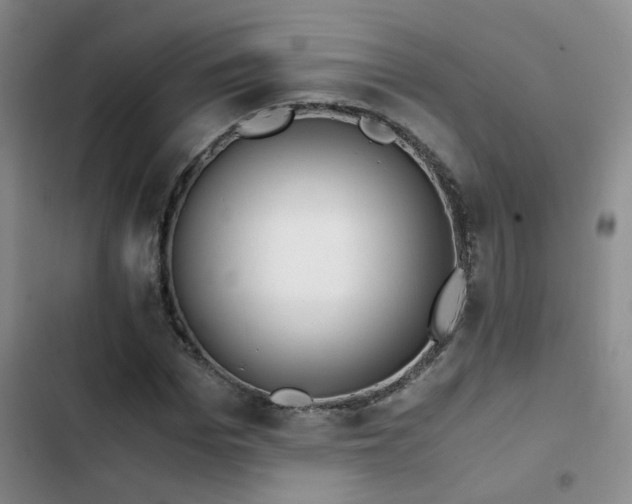 X0000103220969200808281404