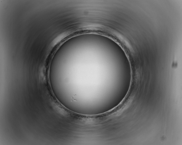 X0000103220970200808281404