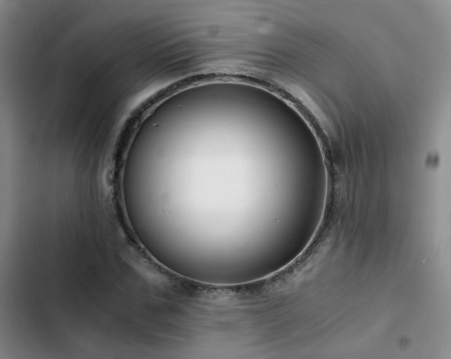 X0000103220971200808281404