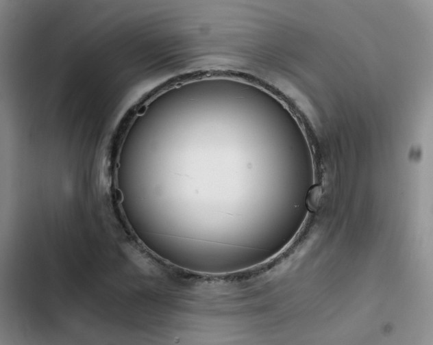 X0000103220973200808281404