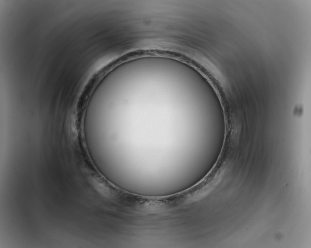 X0000103220974200808281403