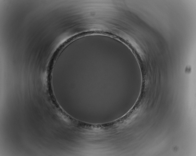 X0000103220975200808281403