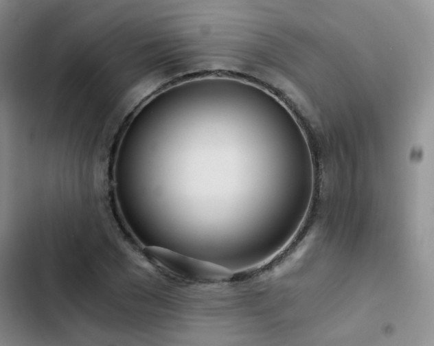 X0000103220977200808281403