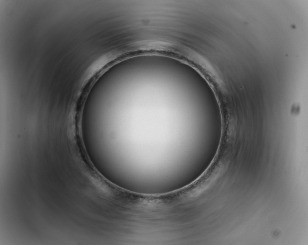 X0000103220978200808281403