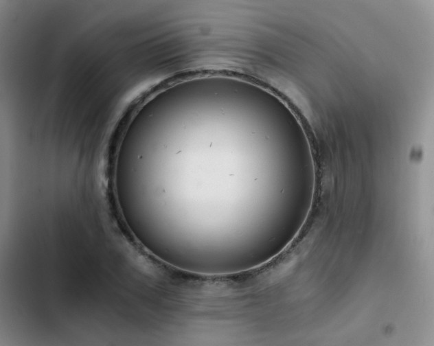 X0000103220979200808281403