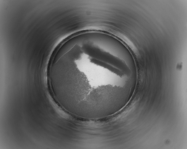 X0000103220980200808281403