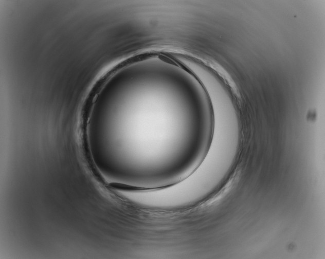 X0000103220981200808281403