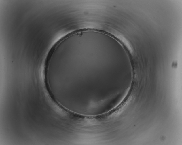 X0000103220983200808281403